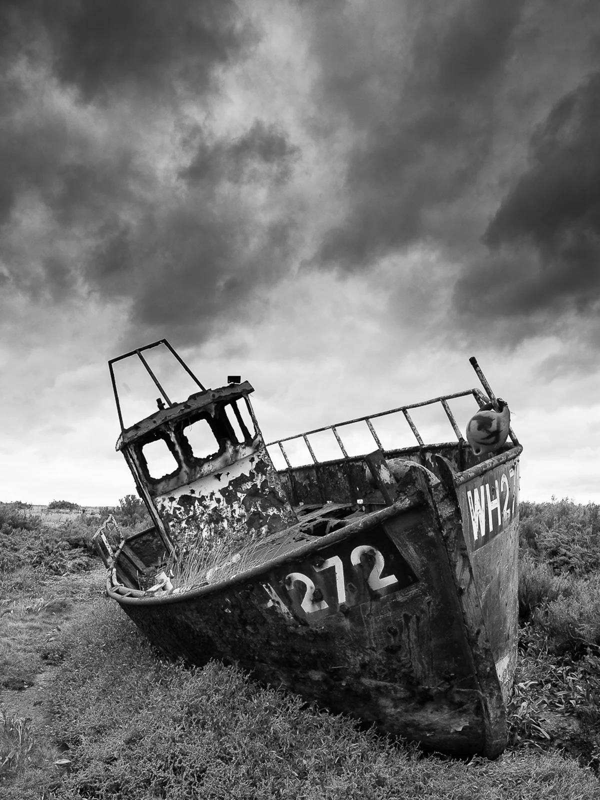 Fishermans Forgotten Friend