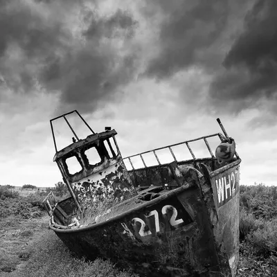 Fishermans Forgotten Friend