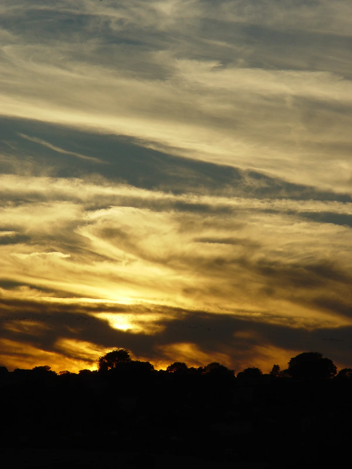 Horizon on Fire