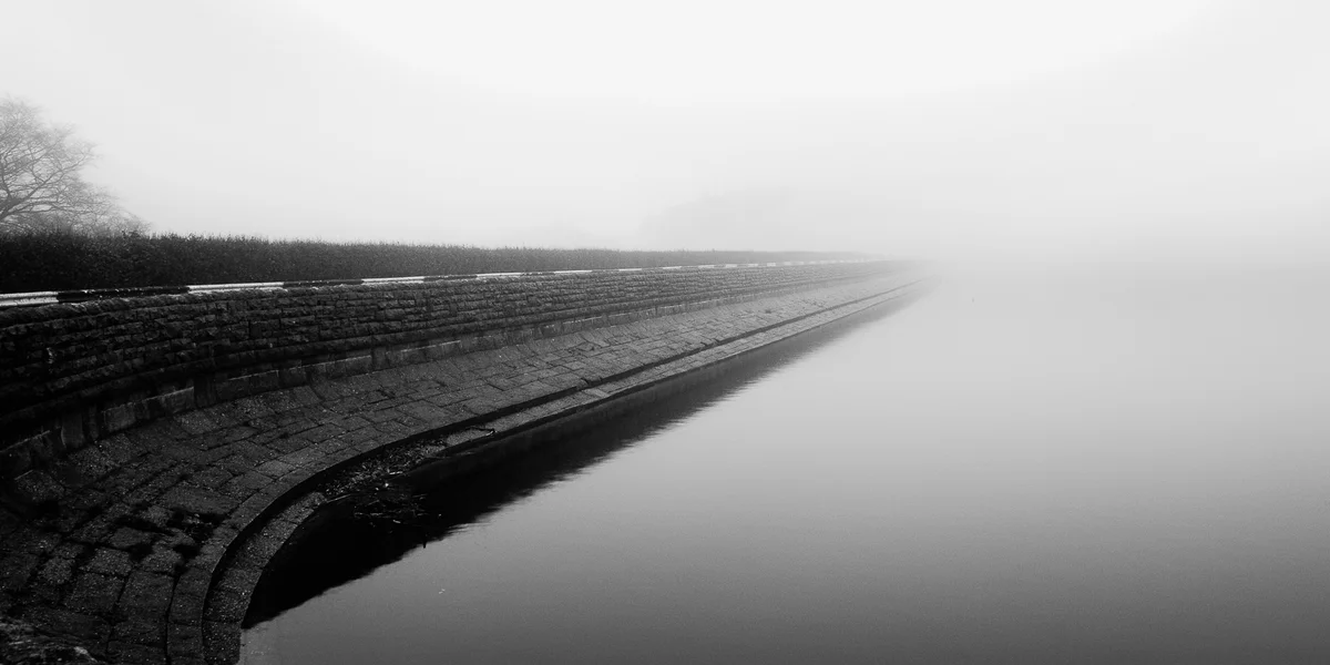 Into The Mist