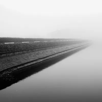 Into The Mist