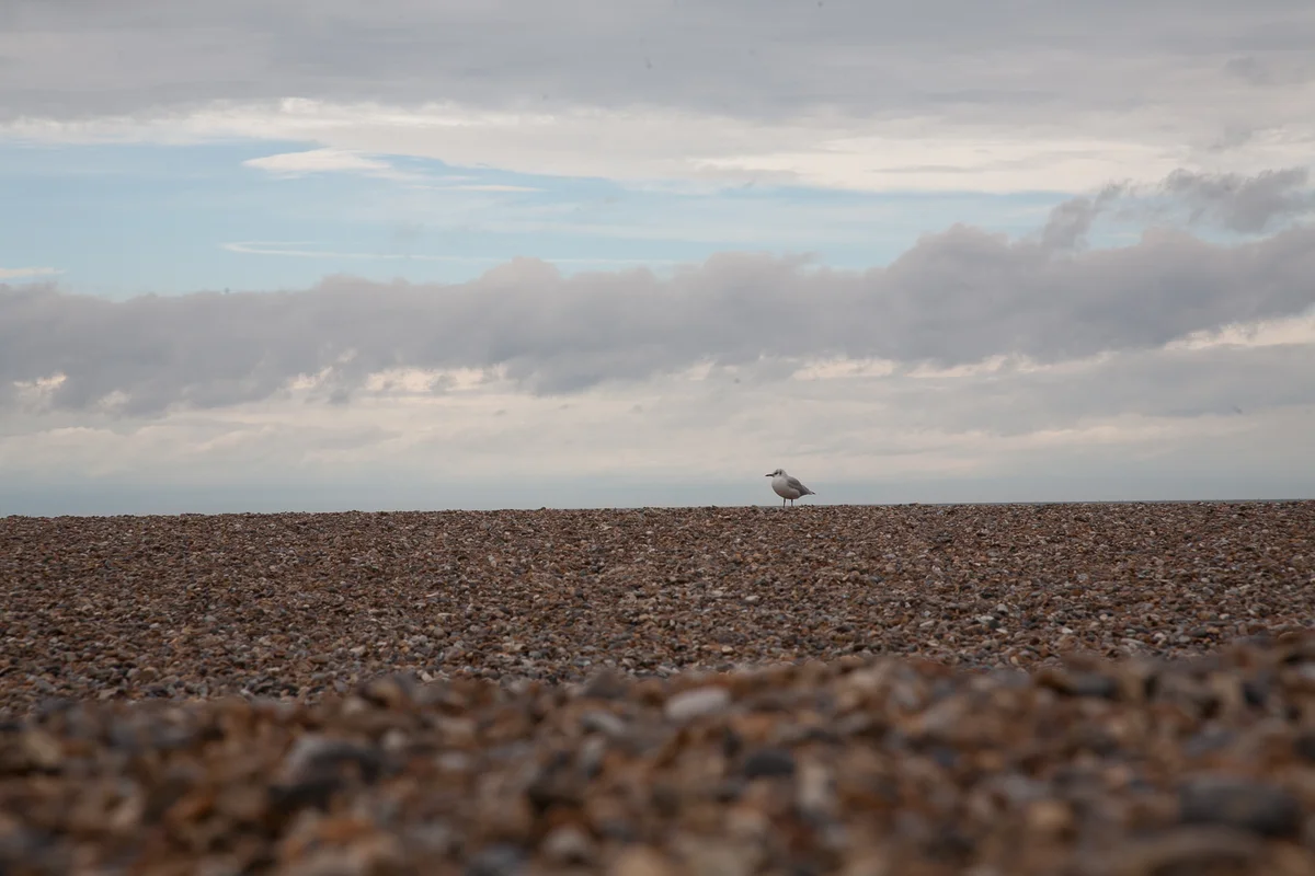 Perched On The Edge