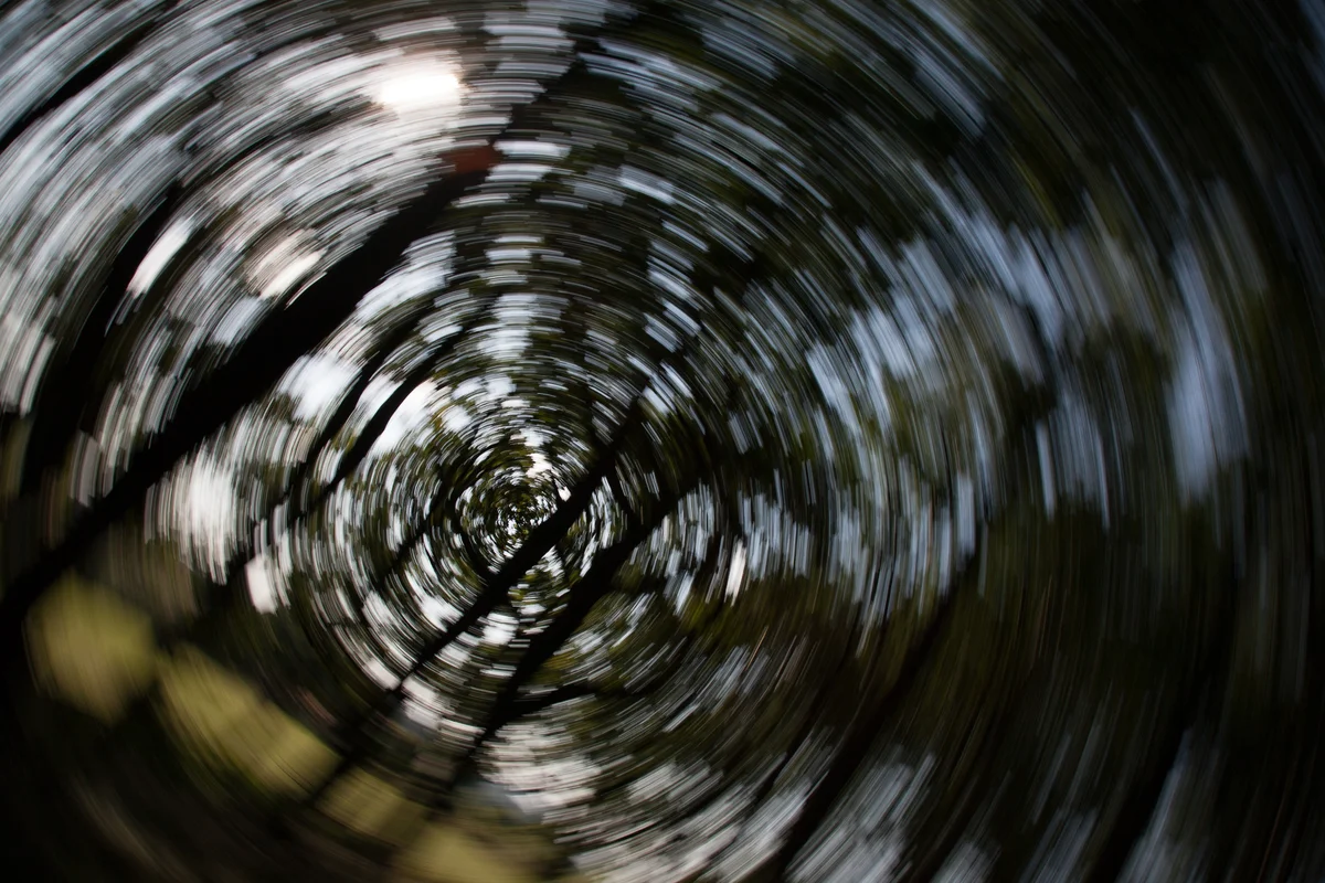 Twisted Trees