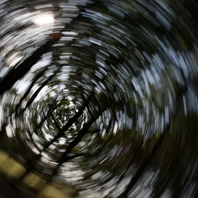 Twisted Trees