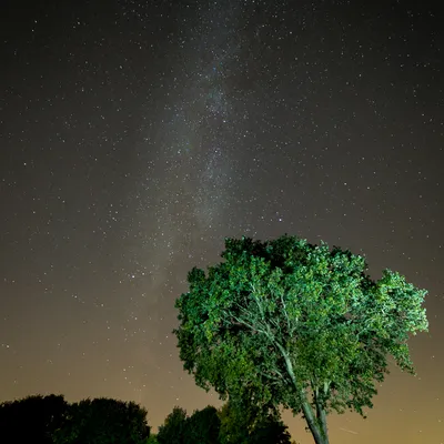 Din Lights in the Sky