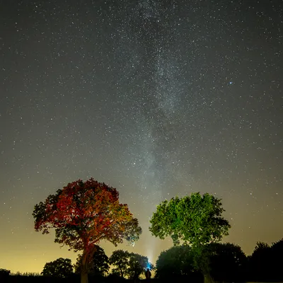 Gateway to the Stars