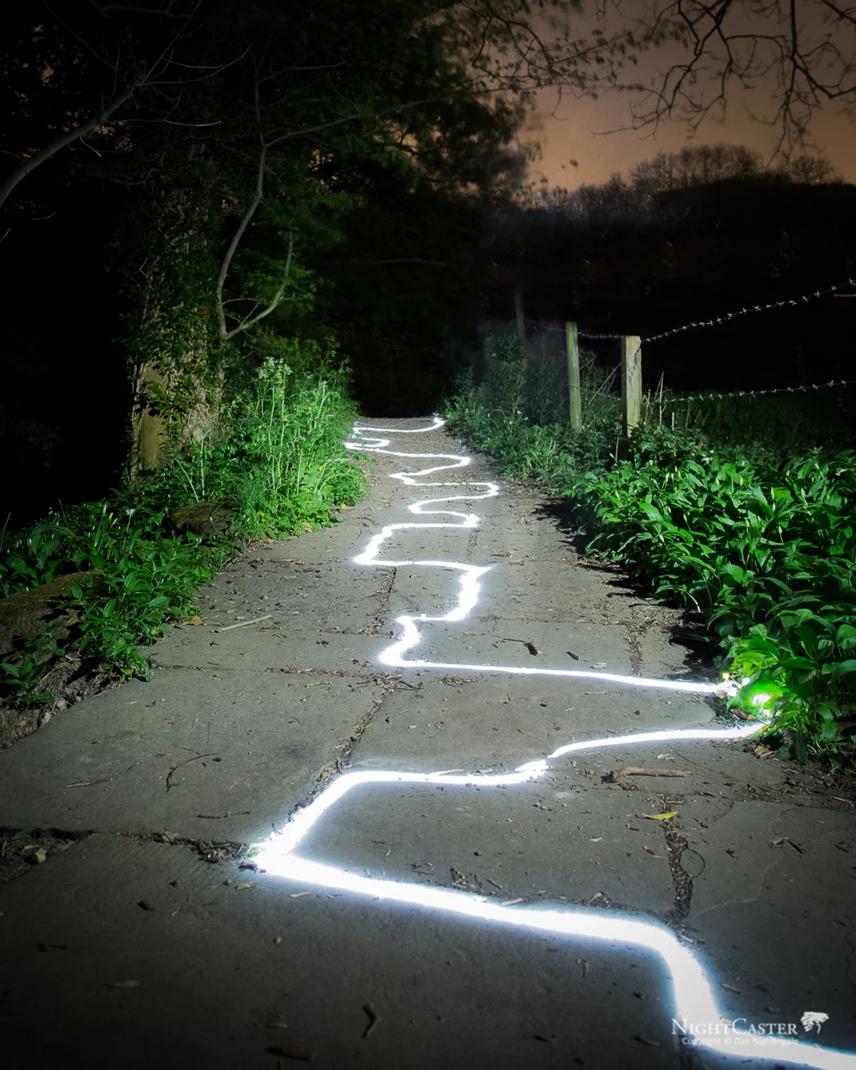 Make Your Own Path