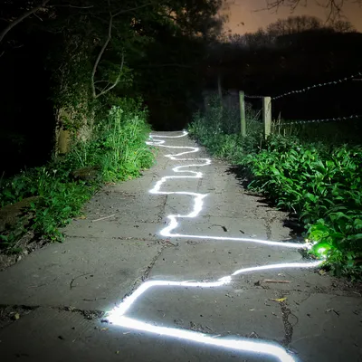 Make Your Own Path