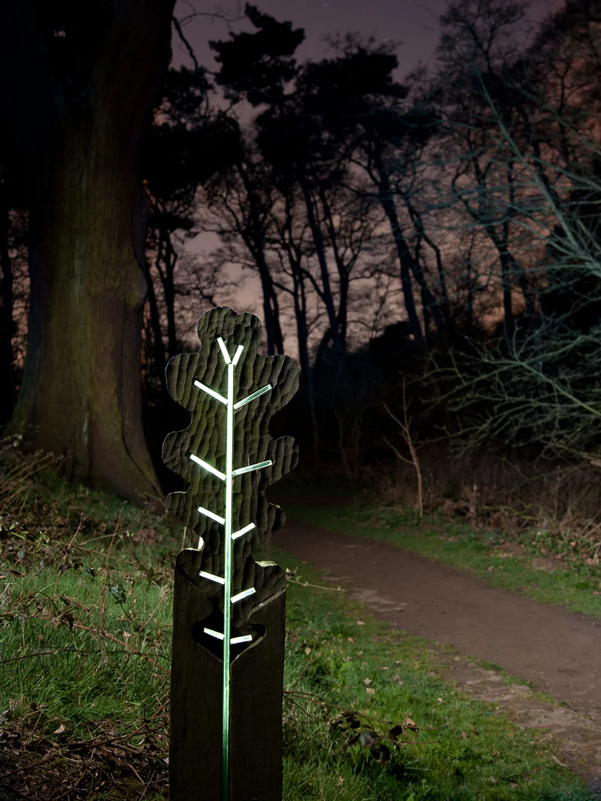 Tree Of Light