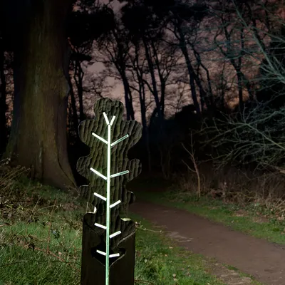 Tree Of Light