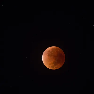 Lunar Eclipse